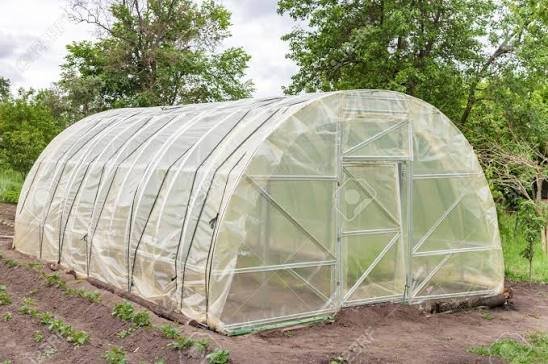 Plastic Tunnels (Cost Sharing)